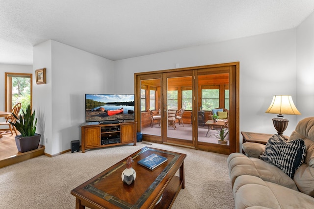 9755 Egret Blvd NW, Coon Rapids, MN 55433 - living area featuring light carpet and french doors