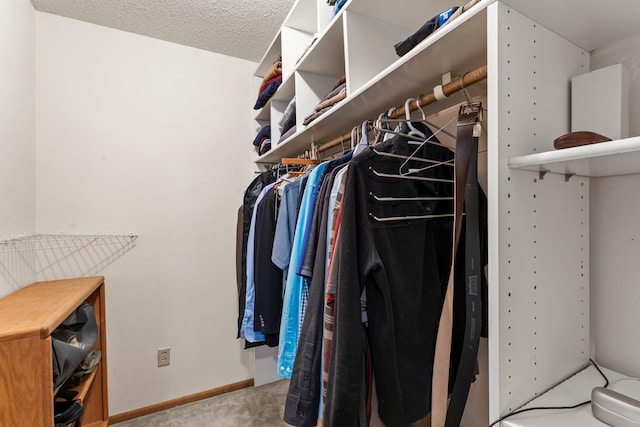 9755 Egret Blvd NW, Coon Rapids, MN 55433 - walk in closet featuring carpet flooring