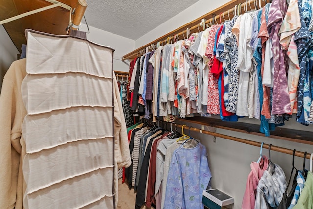 9755 Egret Blvd NW, Coon Rapids, MN 55433 - walk in closet featuring carpet