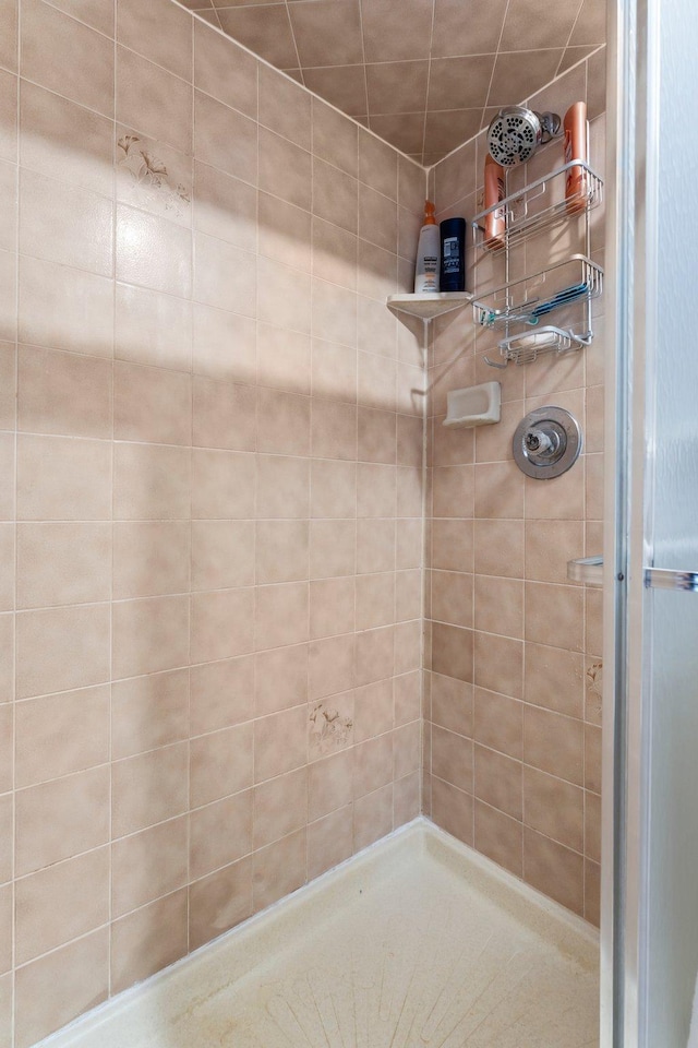 9755 Egret Blvd NW, Coon Rapids, MN 55433 - full bath featuring a shower stall