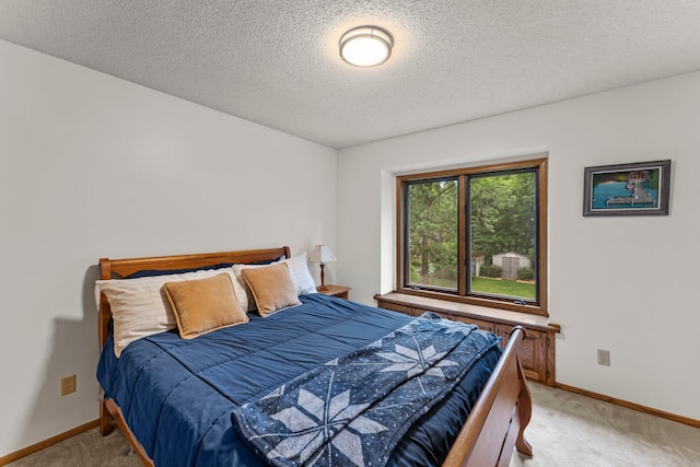 9755 Egret Blvd NW, Coon Rapids, MN 55433 - bedroom featuring light colored carpet and a textured ceiling