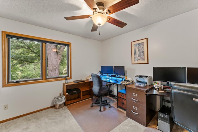 9755 Egret Blvd NW, Coon Rapids, MN 55433 - office area featuring carpet, a ceiling fan, and a textured ceiling