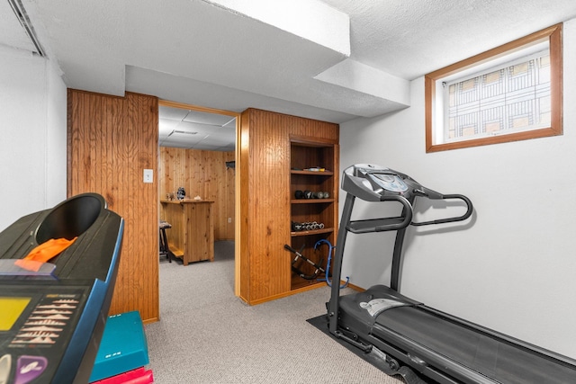 9755 Egret Blvd NW, Coon Rapids, MN 55433 - exercise room featuring carpet floors and wood walls