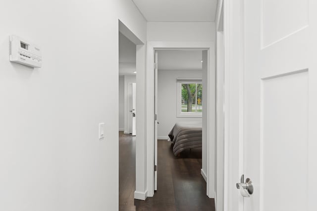 14933 Echo Way, Apple Valley, MN 55124 - corridor featuring dark wood-type flooring and baseboards