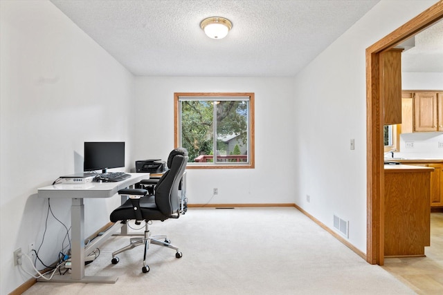 12351 Holly St NW, Coon Rapids, MN 55448 - office space with a textured ceiling, light colored carpet, and baseboards