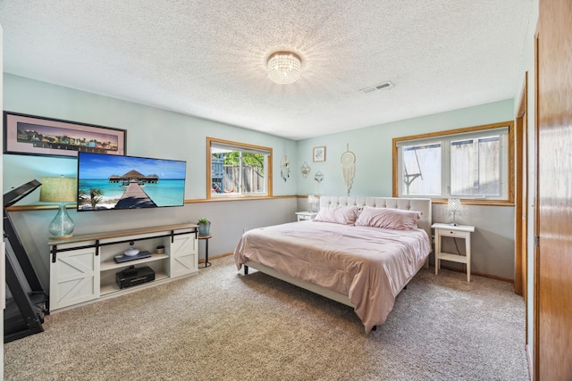 1435 104th Ln NW, Coon Rapids, MN 55433 - bedroom with carpet flooring, a textured ceiling, and baseboards