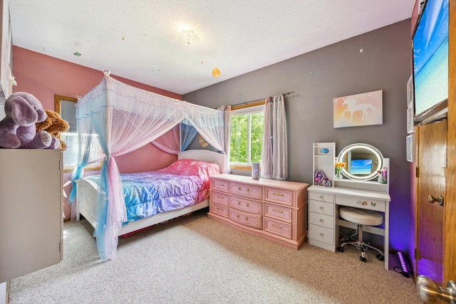 1435 104th Ln NW, Coon Rapids, MN 55433 - bedroom with light carpet