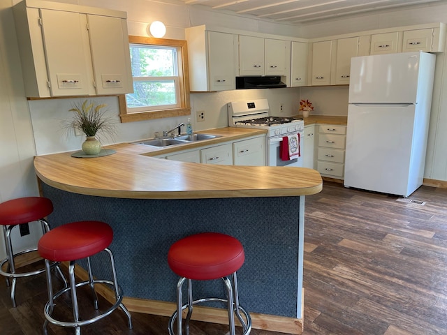 33008 Birch Ln, Motley, MN 56466 - kitchen with white appliances, a sink, range hood, a peninsula, and dark wood-type flooring