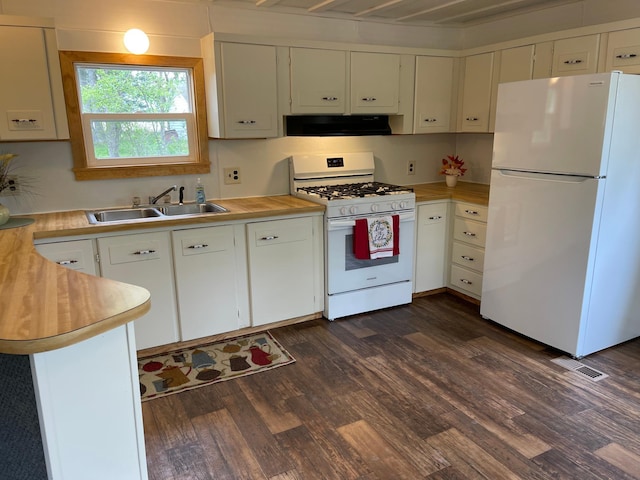 33008 Birch Ln, Motley, MN 56466 - kitchen featuring white appliances, range hood, a sink, dark wood-style flooring, and light countertops