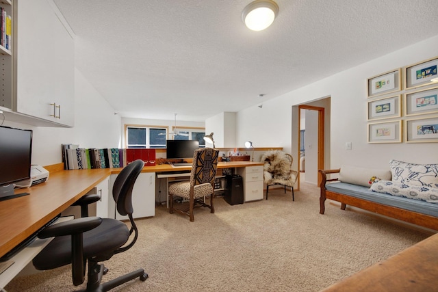 10014 Cove Dr, Hopkins, MN 55305 - home office featuring light carpet and a textured ceiling