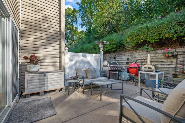 10014 Cove Dr, Hopkins, MN 55305 - view of patio with a grill