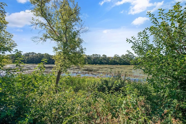 10014 Cove Dr, Hopkins, MN 55305 - view of yard with a water view