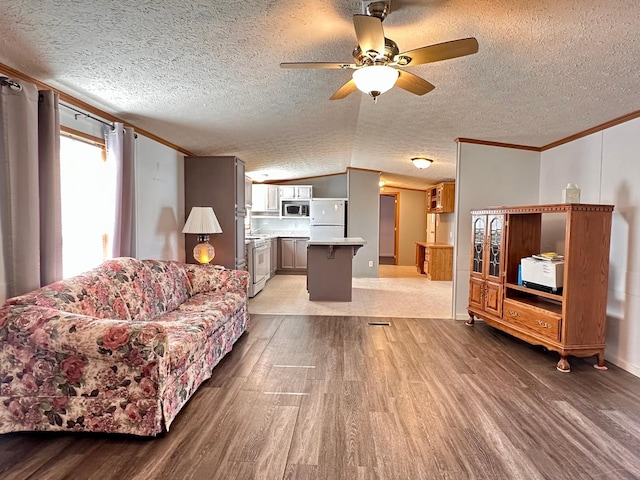 33363 Gardenview Dr, Sturgeon Lake, MN 55783 - living room featuring light wood-style floors, ceiling fan, ornamental molding, a textured ceiling, and vaulted ceiling