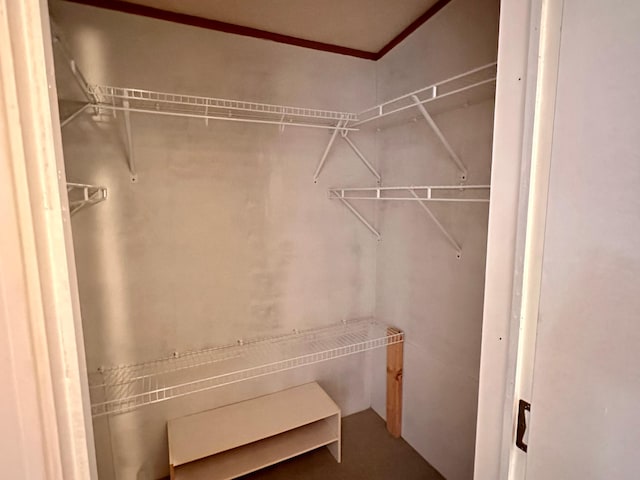 33363 Gardenview Dr, Sturgeon Lake, MN 55783 - view of walk in closet