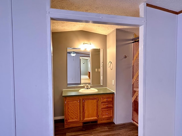 33363 Gardenview Dr, Sturgeon Lake, MN 55783 - full bath featuring a textured ceiling, wood finished floors, vanity, lofted ceiling, and a shower with curtain