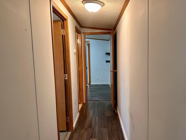 33363 Gardenview Dr, Sturgeon Lake, MN 55783 - hall featuring a textured ceiling, dark wood finished floors, ornamental molding, and baseboards