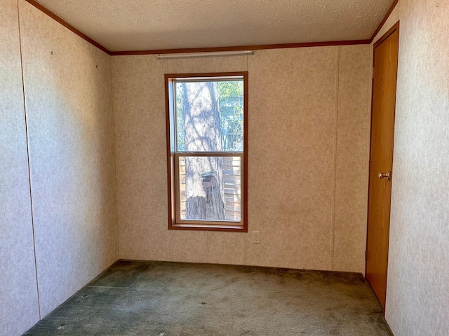 33363 Gardenview Dr, Sturgeon Lake, MN 55783 - carpeted spare room with a textured ceiling and crown molding