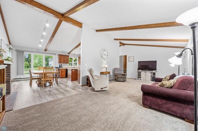 2514 Willow Rd N, Fargo, ND 58102 - living room featuring light wood finished floors, light carpet, rail lighting, and a fireplace