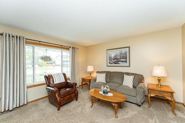 4822 3rd St NW, Rochester, MN 55901 - living area with light carpet and baseboards