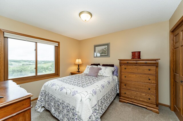 4822 3rd St NW, Rochester, MN 55901 - bedroom with light carpet and baseboards