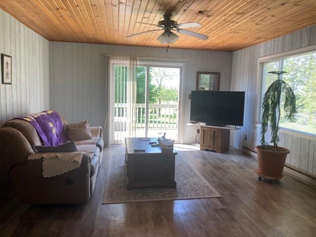 15775 County Road 22, Glenwood, MN 56334 - photo 13