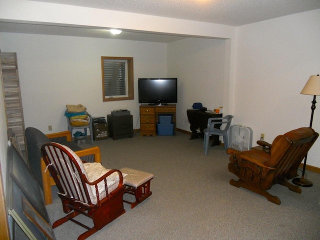 15775 County Road 22, Glenwood, MN 56334 - photo 19