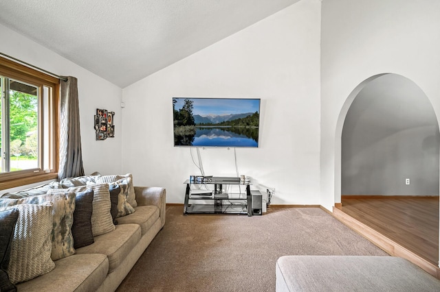 1653 Briardale Rd NE, Fridley, MN 55432 - carpeted living room featuring arched walkways, vaulted ceiling, and baseboards