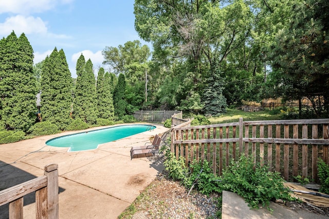 1653 Briardale Rd NE, Fridley, MN 55432 - view of swimming pool featuring a patio