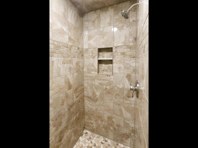 17394 Sunset Trl SW, Prior Lake, MN 55372 - full bath with tiled shower