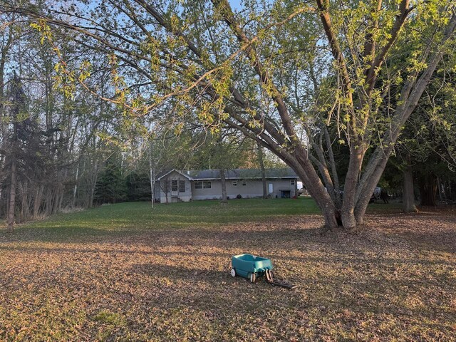 54202 Memory Ln NE, Waskish, MN 56685 - view of green lawn