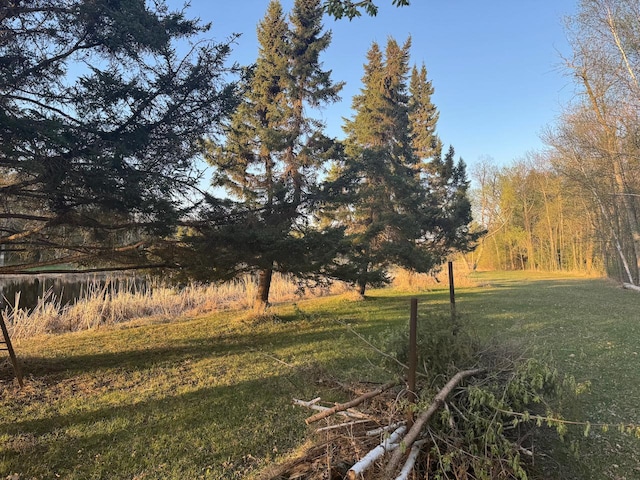54202 Memory Ln NE, Waskish, MN 56685 - view of grassy yard