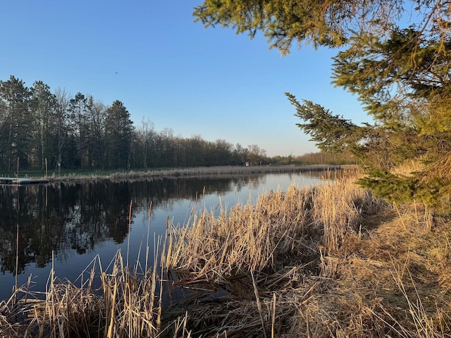 54202 Memory Ln NE, Waskish, MN 56685 - water view with a forest