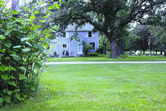 55618 County Highway 62, Butler Twp, MN 56567 - photo 8