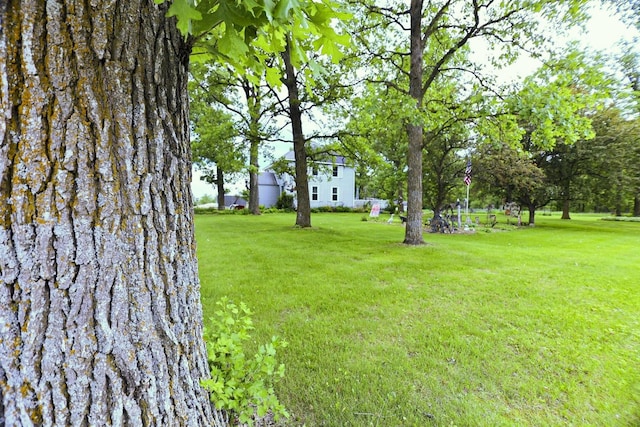 55618 County Highway 62, Butler Twp, MN 56567 - photo 15