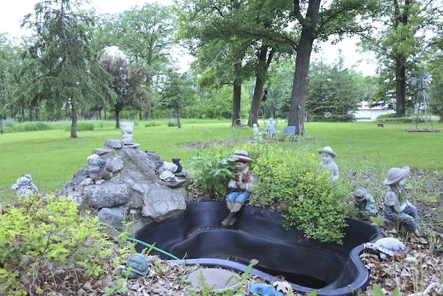 55618 County Highway 62, Butler Twp, MN 56567 - photo 54