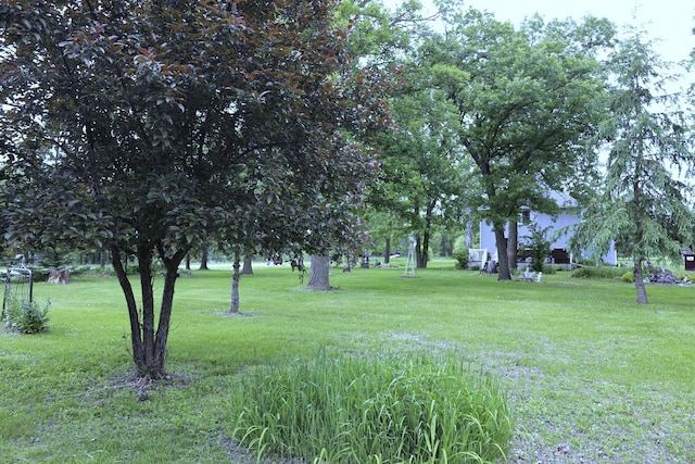 55618 County Highway 62, Butler Twp, MN 56567 - photo 57