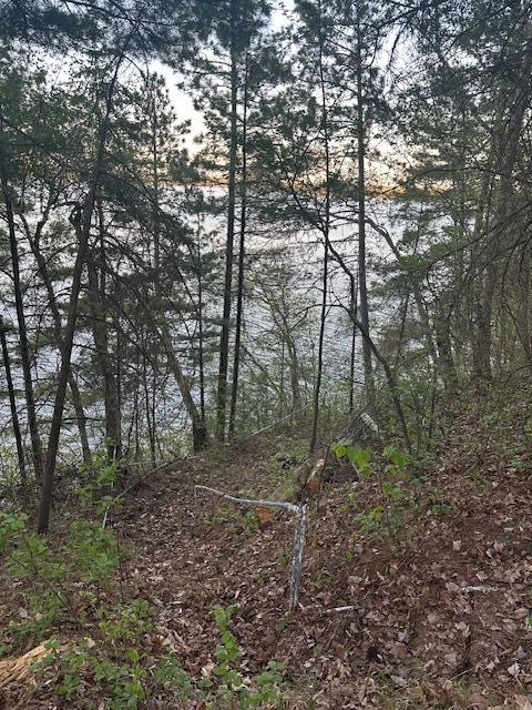 view of nature