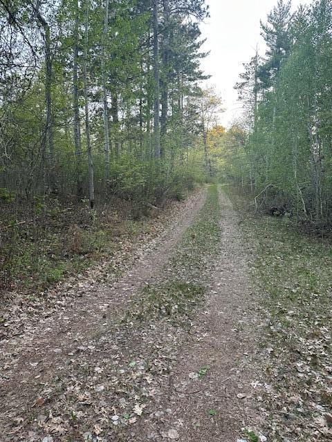 view of street featuring a forest view