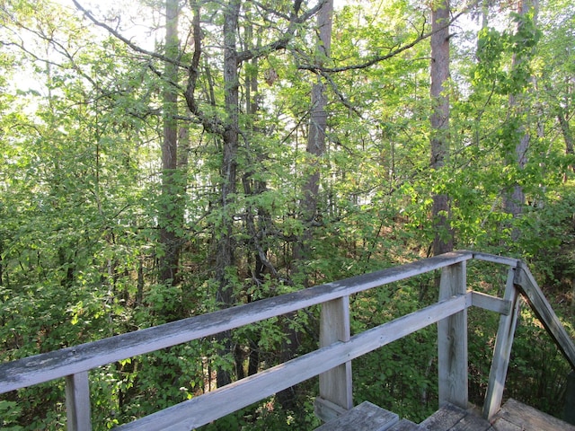 50532 County 29, Bemidji, MN 56601 - view of yard with a view of trees