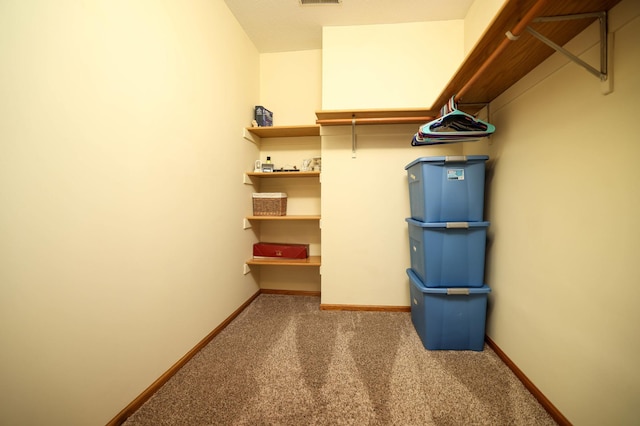 walk in closet with carpet floors