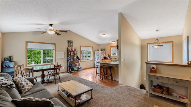 833 19th Ave N, Saint Cloud, MN 56303 - carpeted living room with lofted ceiling, ceiling fan, and baseboards