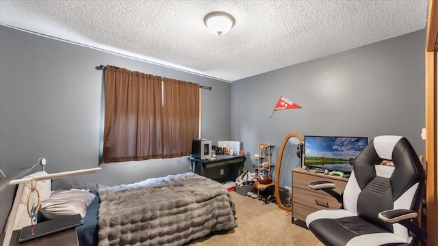 833 19th Ave N, Saint Cloud, MN 56303 - carpeted bedroom with a textured ceiling