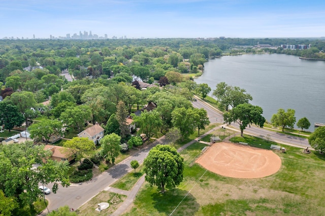 aerial view of a large body of water and a view of skyline