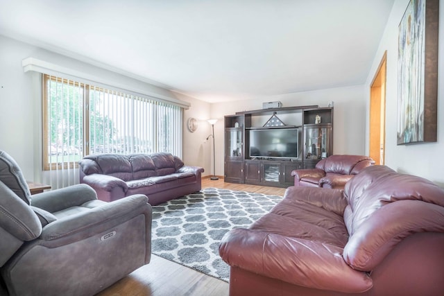 living area with wood finished floors