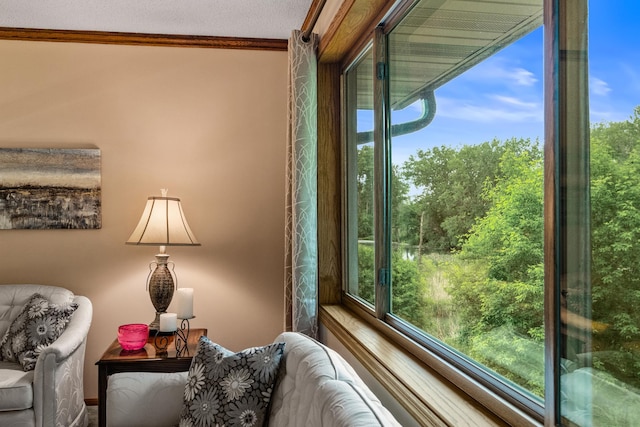 480 Suzanne Ave, Shoreview, MN 55126 - living area featuring ornamental molding