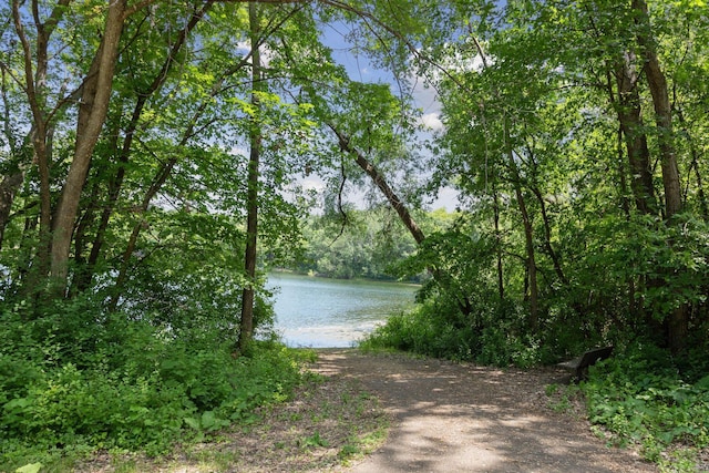 1438 Kings Wood Rd, Eagan, MN 55122 - water view featuring a heavily wooded area