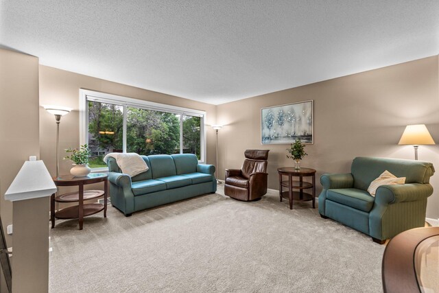 824 96th Ln NE, Blaine, MN 55434 - carpeted living area with a textured ceiling and baseboards