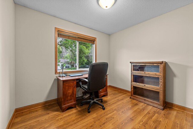 824 96th Ln NE, Blaine, MN 55434 - office space featuring light wood finished floors and a textured ceiling