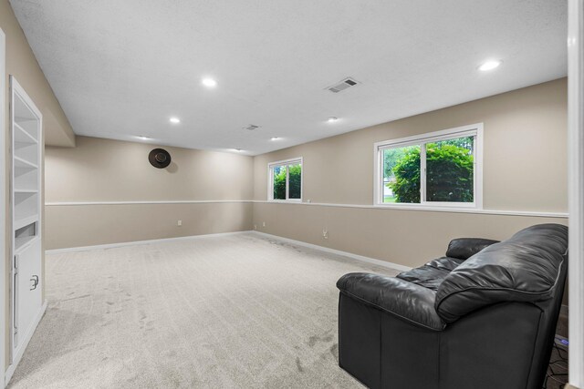 824 96th Ln NE, Blaine, MN 55434 - living area with recessed lighting and carpet