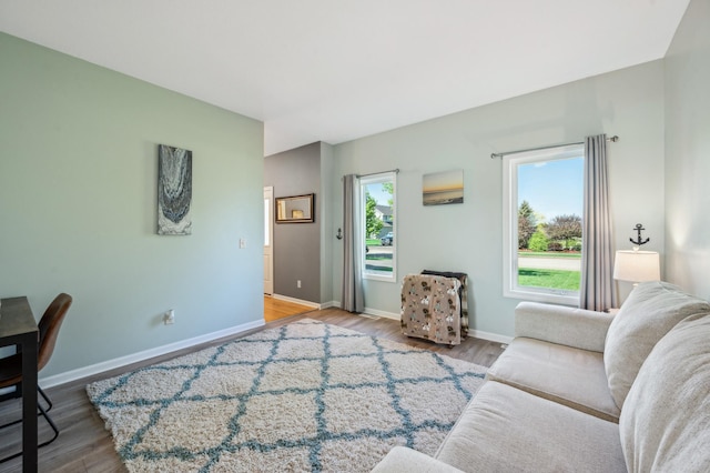 1005 Hope Ave, Jordan, MN 55352 - living area featuring wood finished floors and baseboards